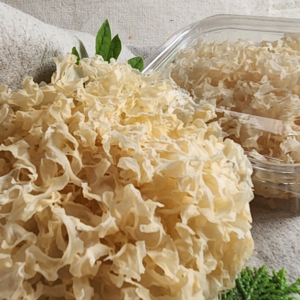 국내산 친환경 건은이버섯 44~50g