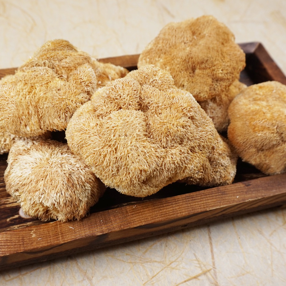 국내산 친환경 건노루궁뎅이버섯  50g